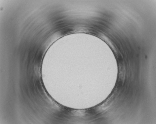 X0000089370810200707061113