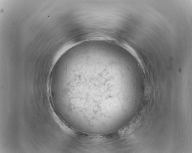 X0000089370811200707061112