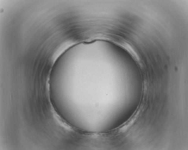 X0000089370814200707061112