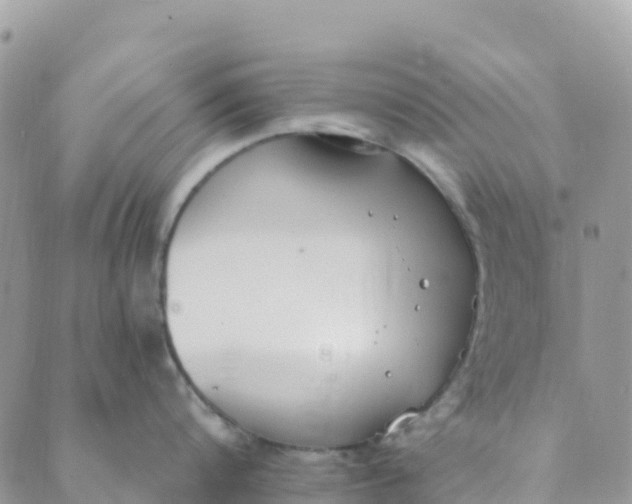 X0000089370816200707061112