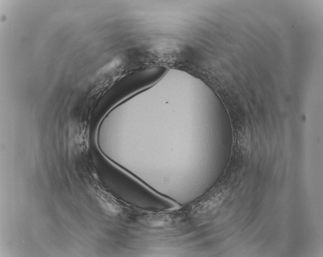 X0000089370818200707061112