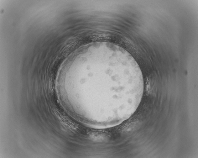 X0000089370819200707061112