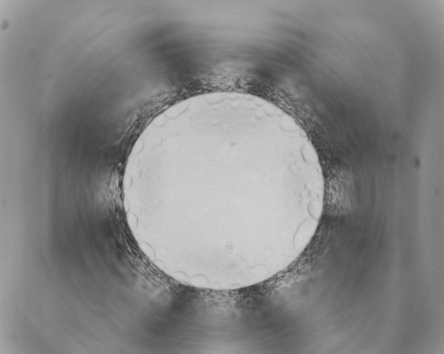 X0000089370820200707061112