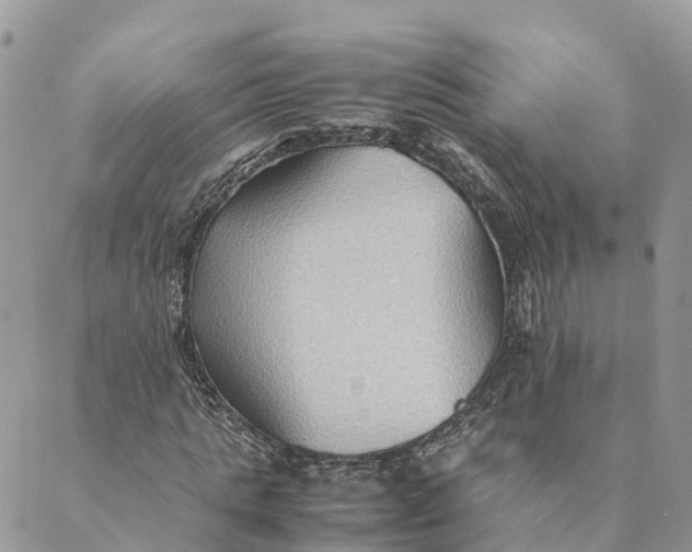 X0000089370821200707061112