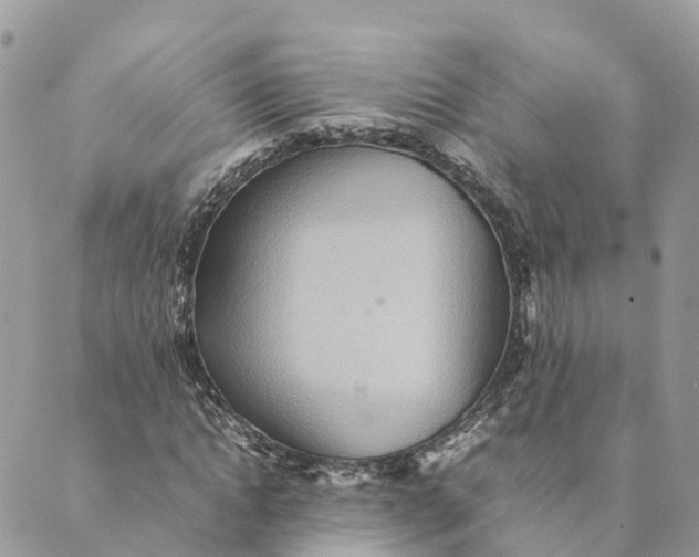 X0000089370822200707061112