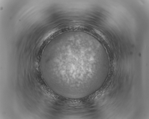 X0000089370823200707061112