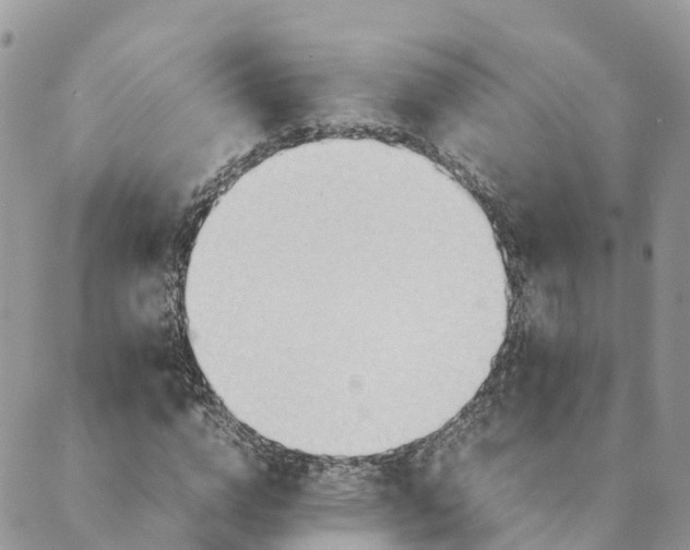 X0000089370824200707061112