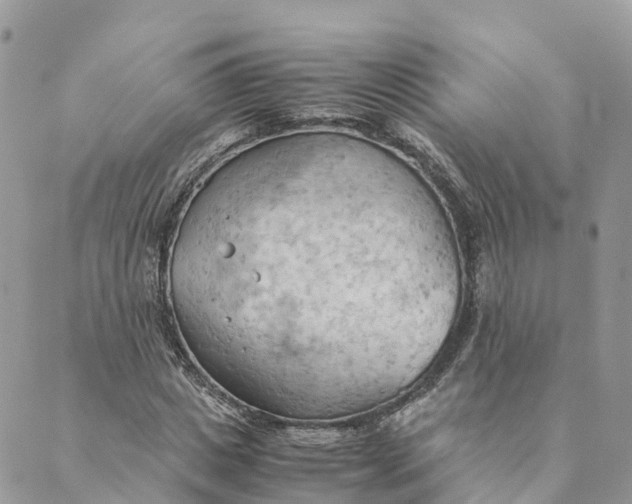 X0000089370825200707061112