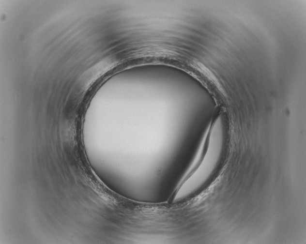 X0000089370826200707061112