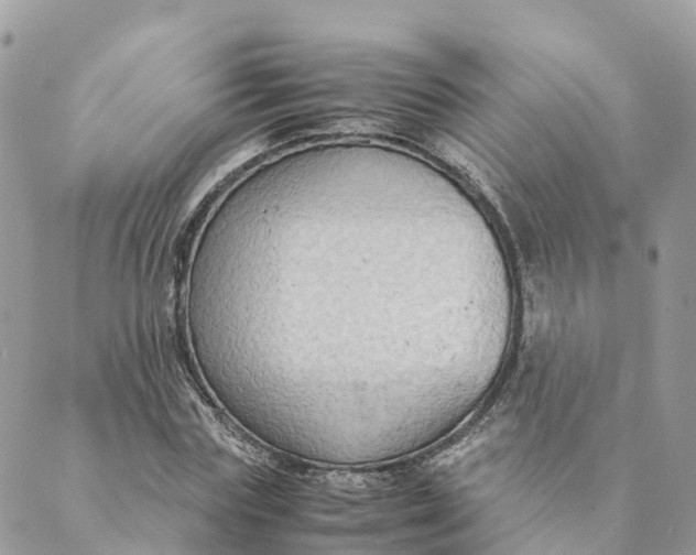 X0000089370827200707061112