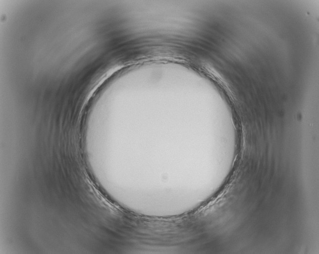 X0000089370828200707061112