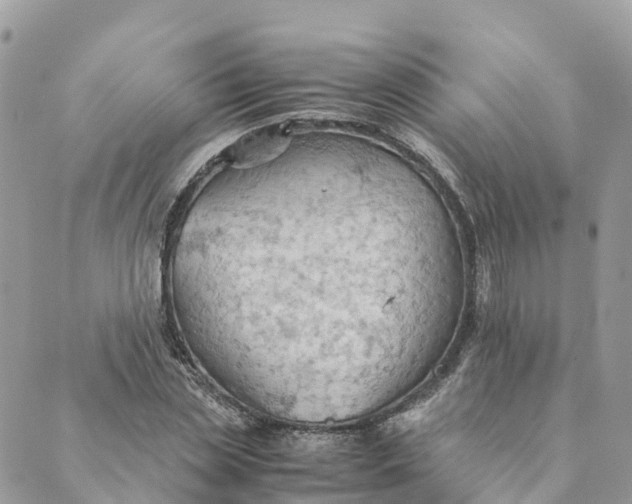 X0000089370829200707061112