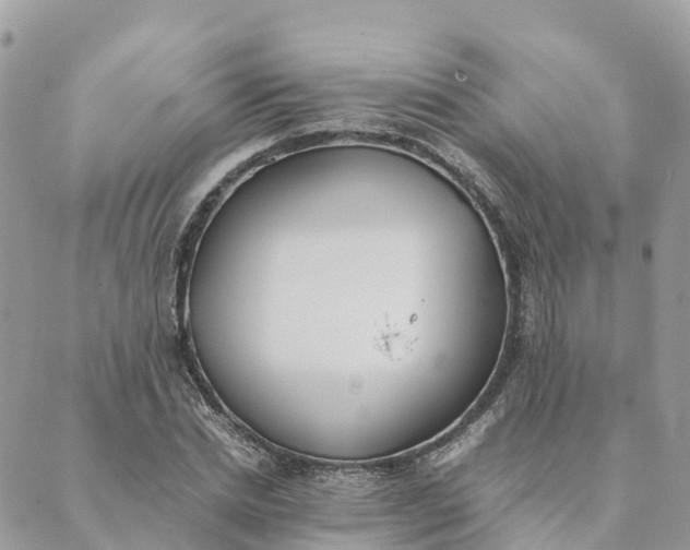 X0000089370830200707061112