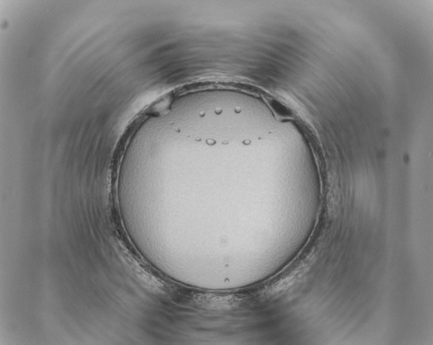 X0000089370831200707061112