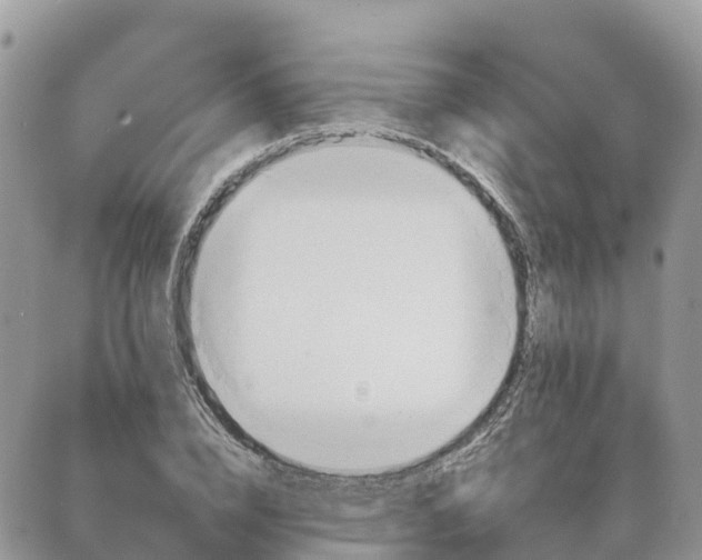 X0000089370832200707061112