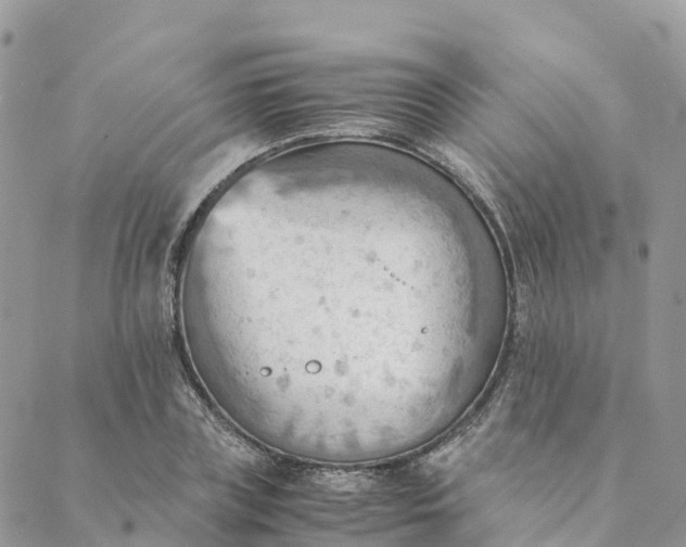 X0000089370835200707061112