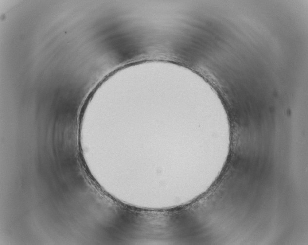 X0000089370836200707061112