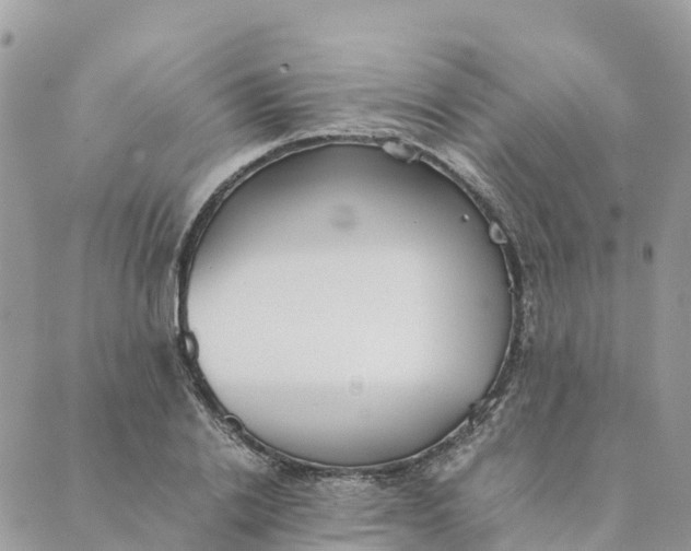 X0000089370838200707061112