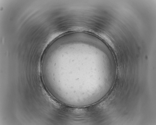 X0000089370839200707061112