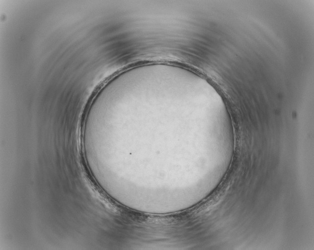 X0000089370840200707061112