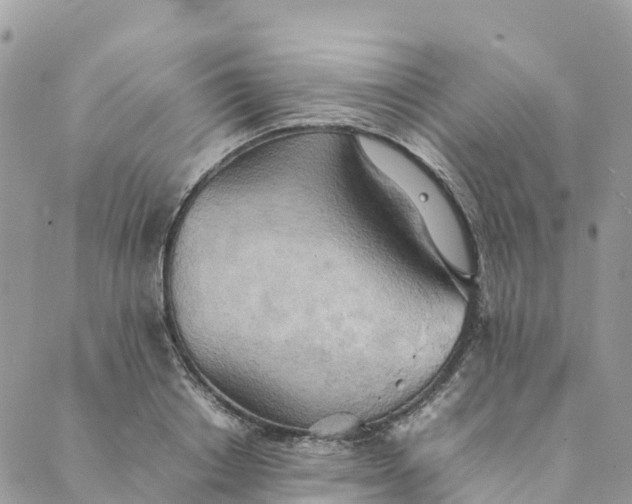 X0000089370842200707061112