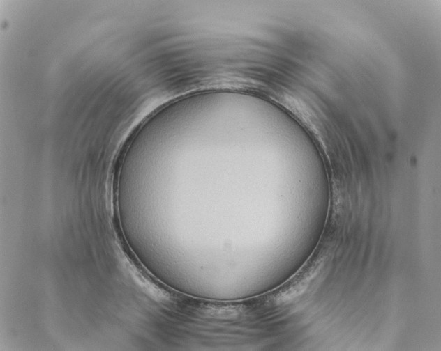 X0000089370843200707061112