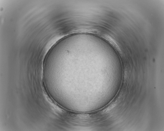 X0000089370844200707061112