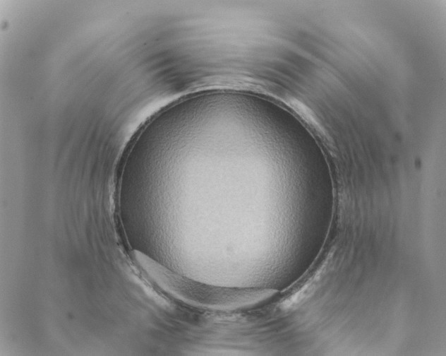 X0000089370846200707061112