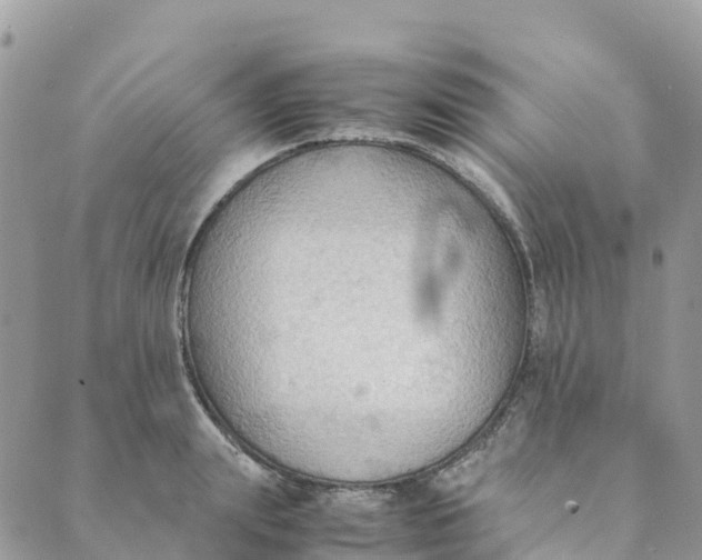 X0000089370847200707061112