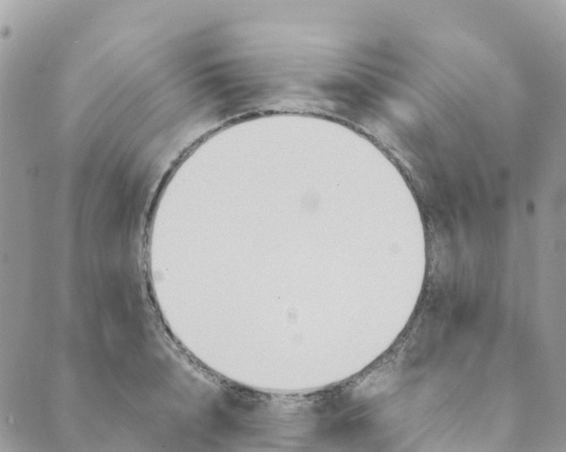 X0000089370848200707061112