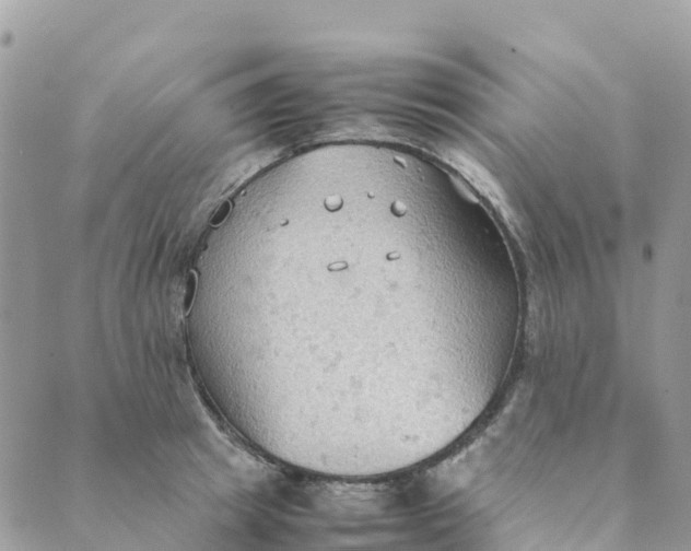 X0000089370849200707061112