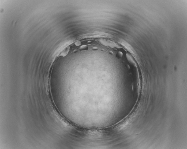 X0000089370850200707061112