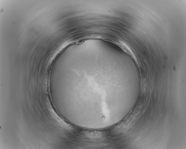 X0000089370851200707061112