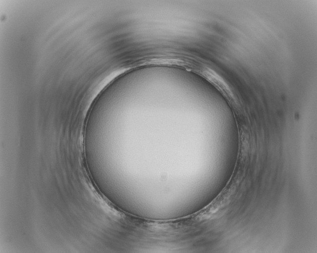 X0000089370852200707061112