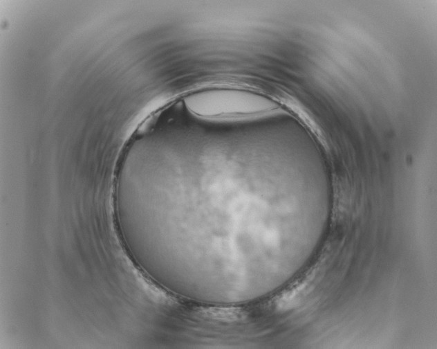 X0000089370853200707061112