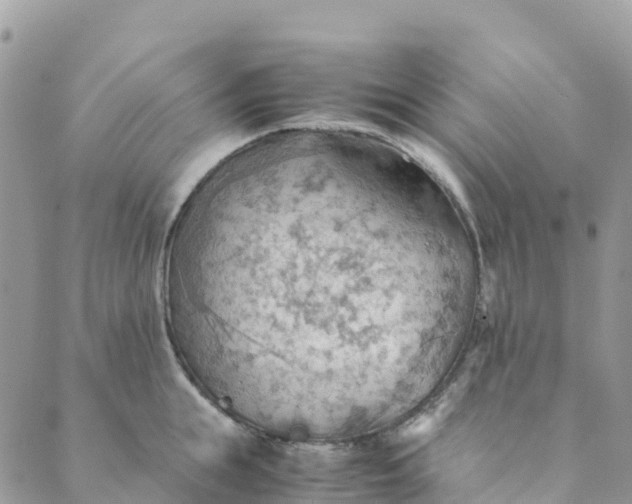 X0000089370855200707061112