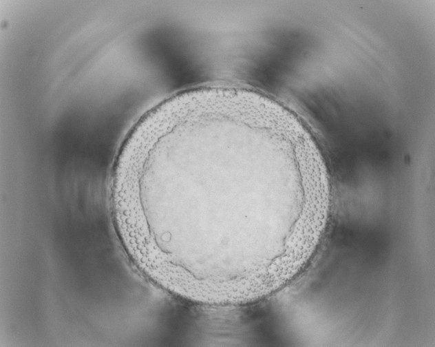 X0000089370856200707061112