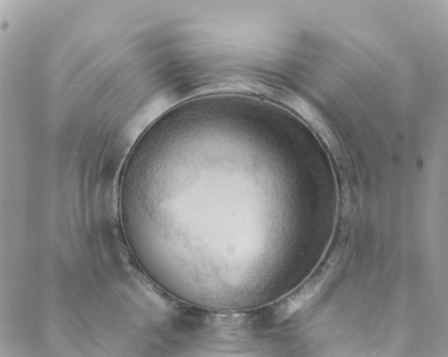 X0000089370858200707061112