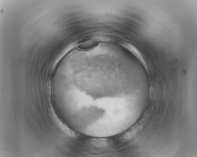 X0000089370859200707061112