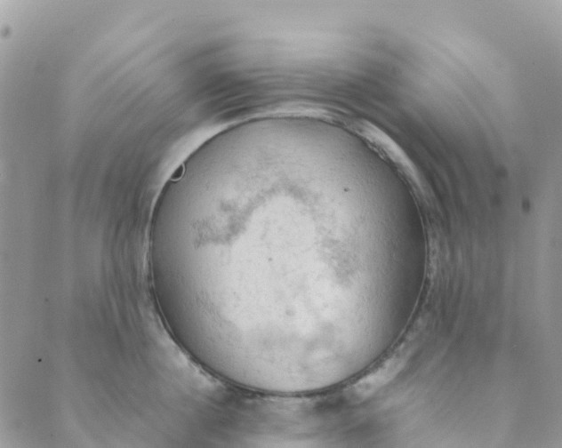 X0000089370860200707061112