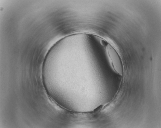 X0000089370862200707061112