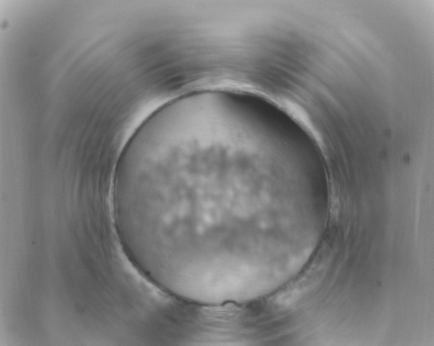 X0000089370863200707061112