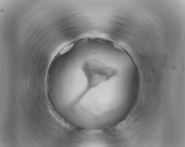 X0000089370864200707061112