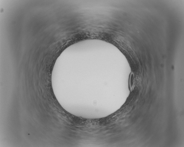 X0000089370865200707061112