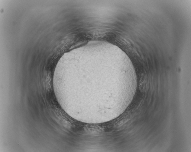 X0000089370866200707061112