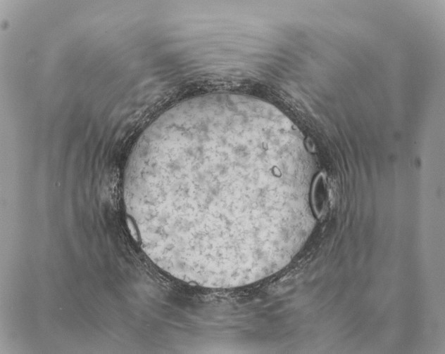 X0000089370867200707061112