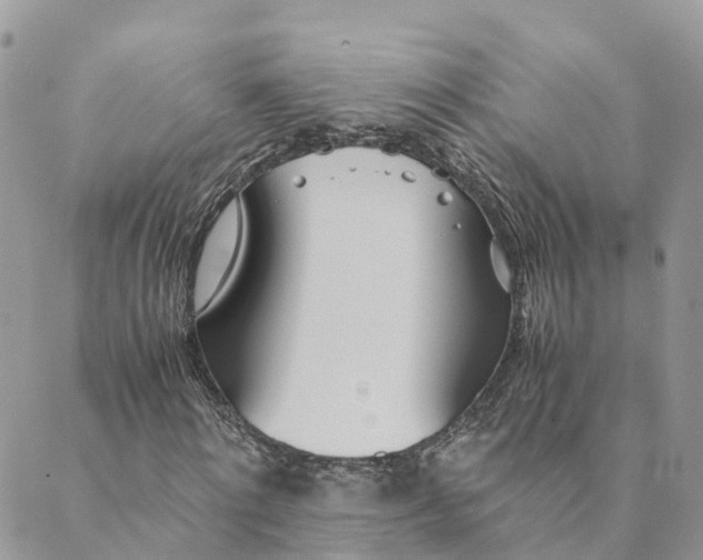 X0000089370868200707061112