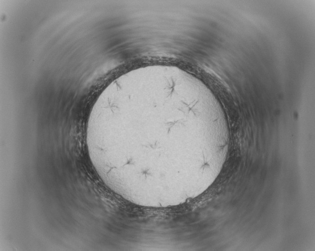 X0000089370870200707061112