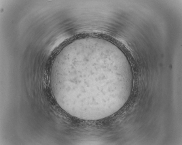 X0000089370871200707061112