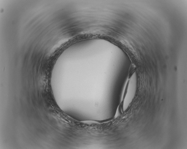 X0000089370872200707061112